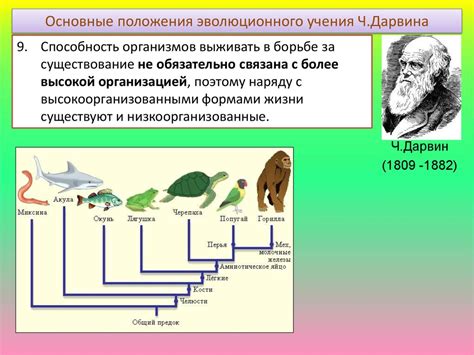 Эволюционная адаптация живых организмов