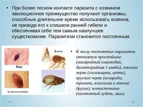 Эволюционное преимущество паразитизма