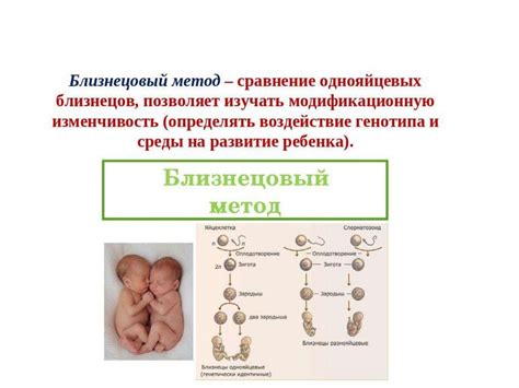 Эволюционные изменения организма