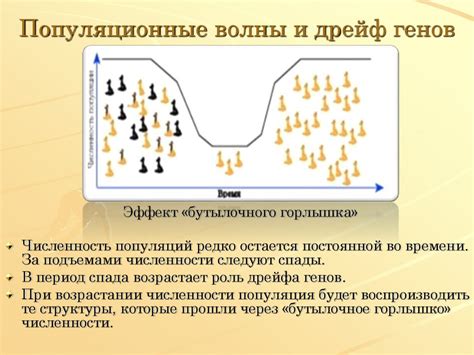 Эволюционный процесс и модификация генов