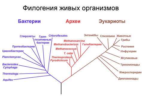 Эволюция значения "легавые" к "милиция"