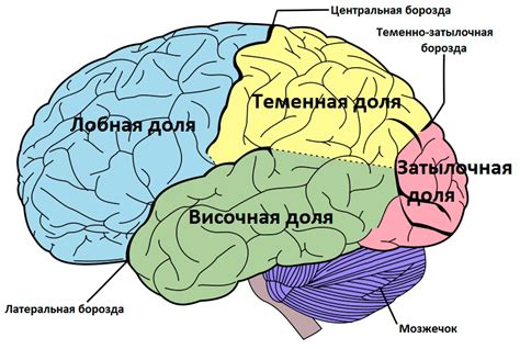 Эволюция названий