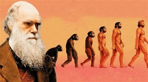 Эволюция смысла и происхождение