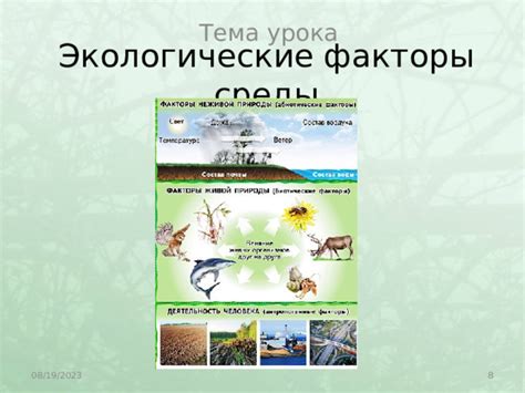 Экологические факторы на формирование характера