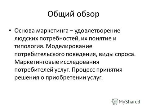 Экономические решения и удовлетворение потребностей потребителей