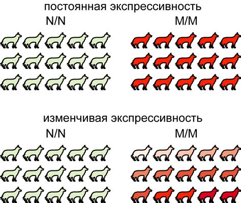 Экспрессивность музыки