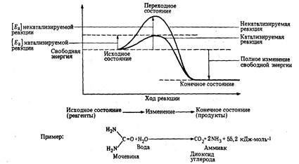 Энергетические барьеры реакции