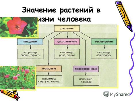 Эстетическое значение