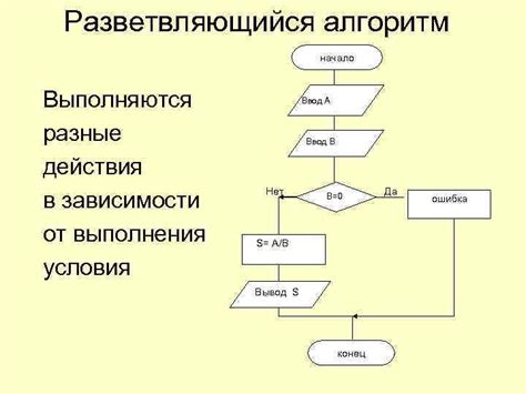 Этапы действия направительных тельц в овариях