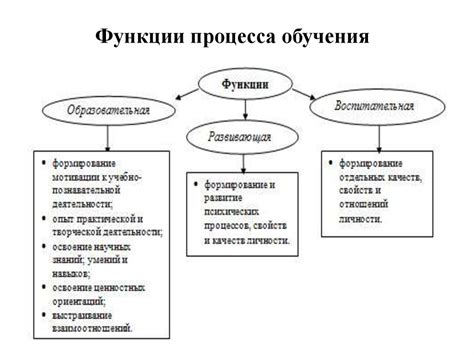 Этапы обучения и практики