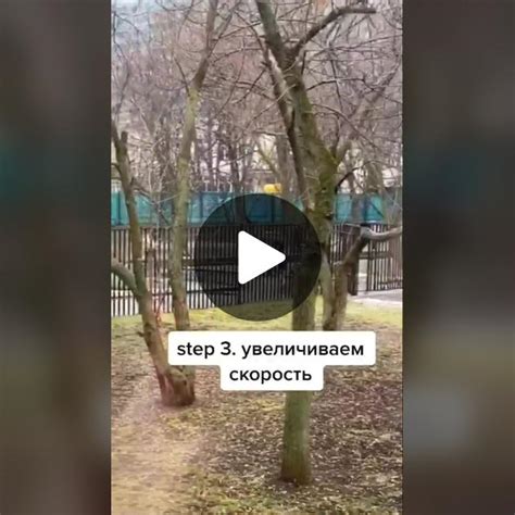 Этапы подготовки к тренировкам: