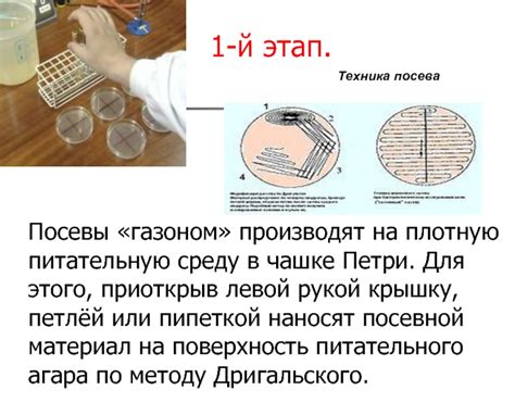 Этап 2: Предоставьте питательную среду