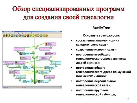 Этап 4: Создание структуры древа