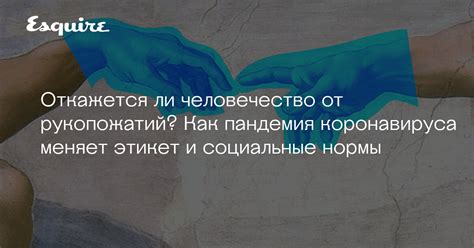 Этикет и социальные нормы