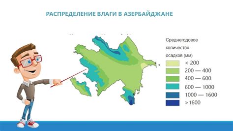 Эффективное распределение влаги