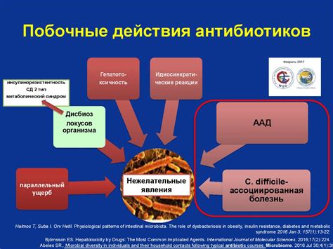 Эффекты антибиотиков на микрофлору