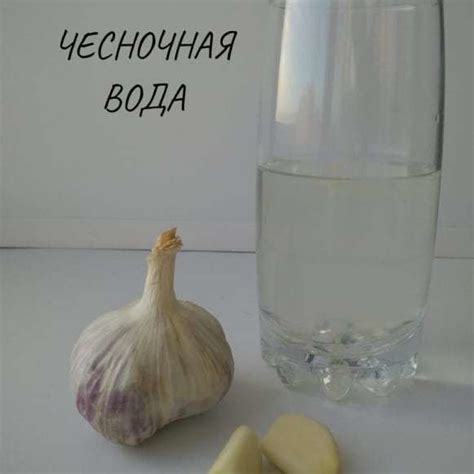 Эффект от чесночной воды