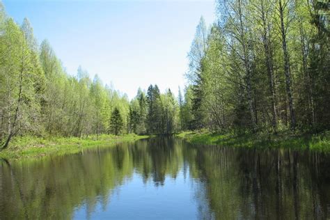 Южский национальный парк: экотуризм