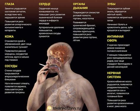  Комфорт и удобство при курении 