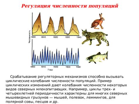  Регуляция численности грызунов в экосистеме 