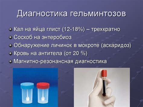 PCR-диагностика гельминтозов